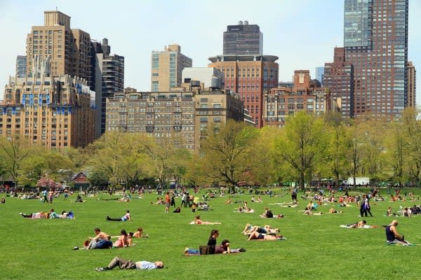 Image of Grass, Nature, Outdoors, Park, City, Urban, Person, College, Handbag, 