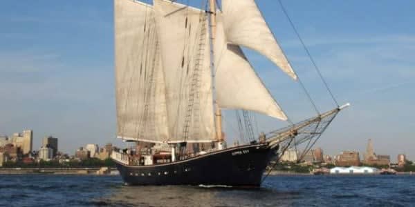 Yankee Clipper  Sailing ships, Tall ship cruises, Sailing