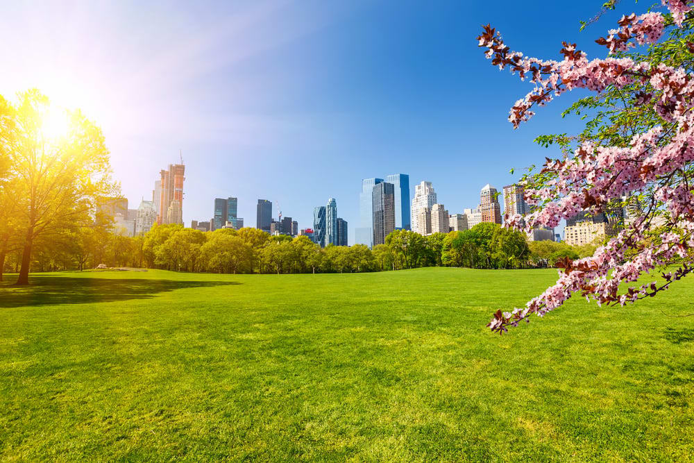 Image of Grass, Nature, Outdoors, Park, Landscape, Scenery, City, Panoramic, Cityscape, Urban, Lawn, 