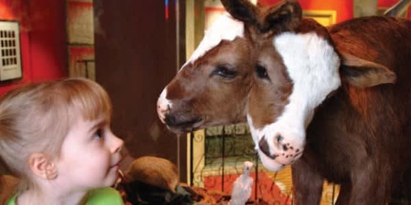 Image of Child, Female, Girl, Person, Livestock, Adult, Woman, 