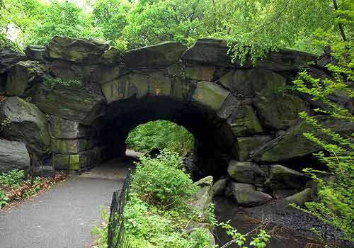 Image of Arch, Path, Tunnel, Vegetation, Outdoors, Nature, Walkway, 