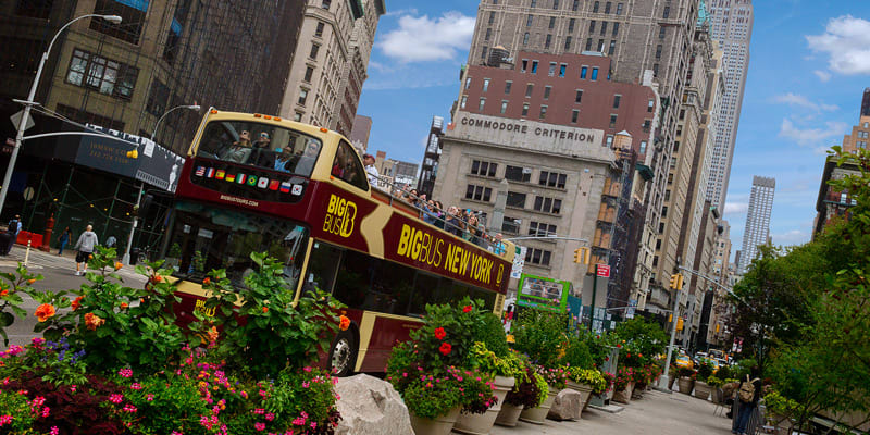 Image of City, Metropolis, Urban, Plant, Potted Plant, Neighborhood, Jar, Planter, Pottery, Vase, Road, Street, Person, Bus, Vehicle, Backpack, Flower, Geranium, Traffic Light, Path, Cityscape, 