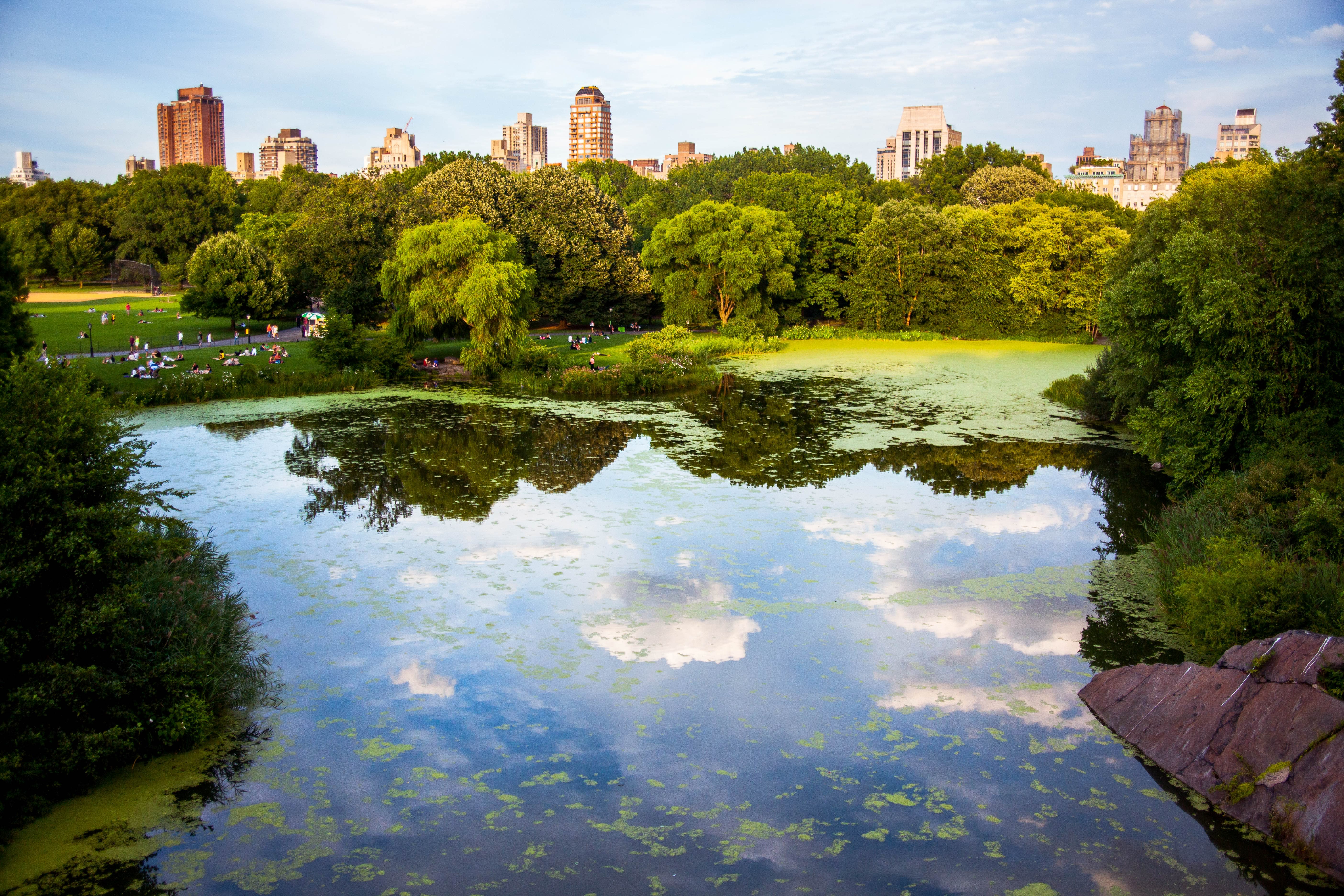 Image of Nature, Outdoors, Pond, Water, Grass, Park, Scenery, Landscape, Vegetation, City, Tree, Lake, Grove, Land, Woodland, Building, Cityscape, Urban, 