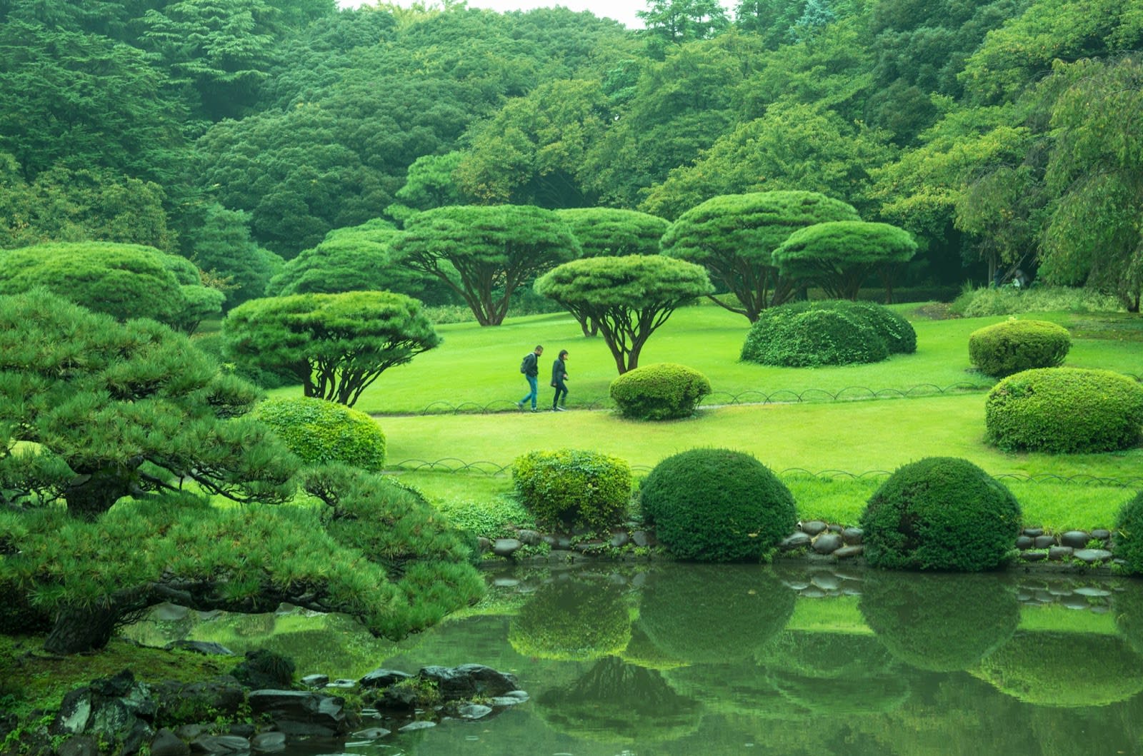 Image of Grass, Plant, Green, Nature, Outdoors, Park, Garden, Pond, Water, Vegetation, Person, Field, Lawn, Tree, Landscape, Scenery, Land, Woodland, 