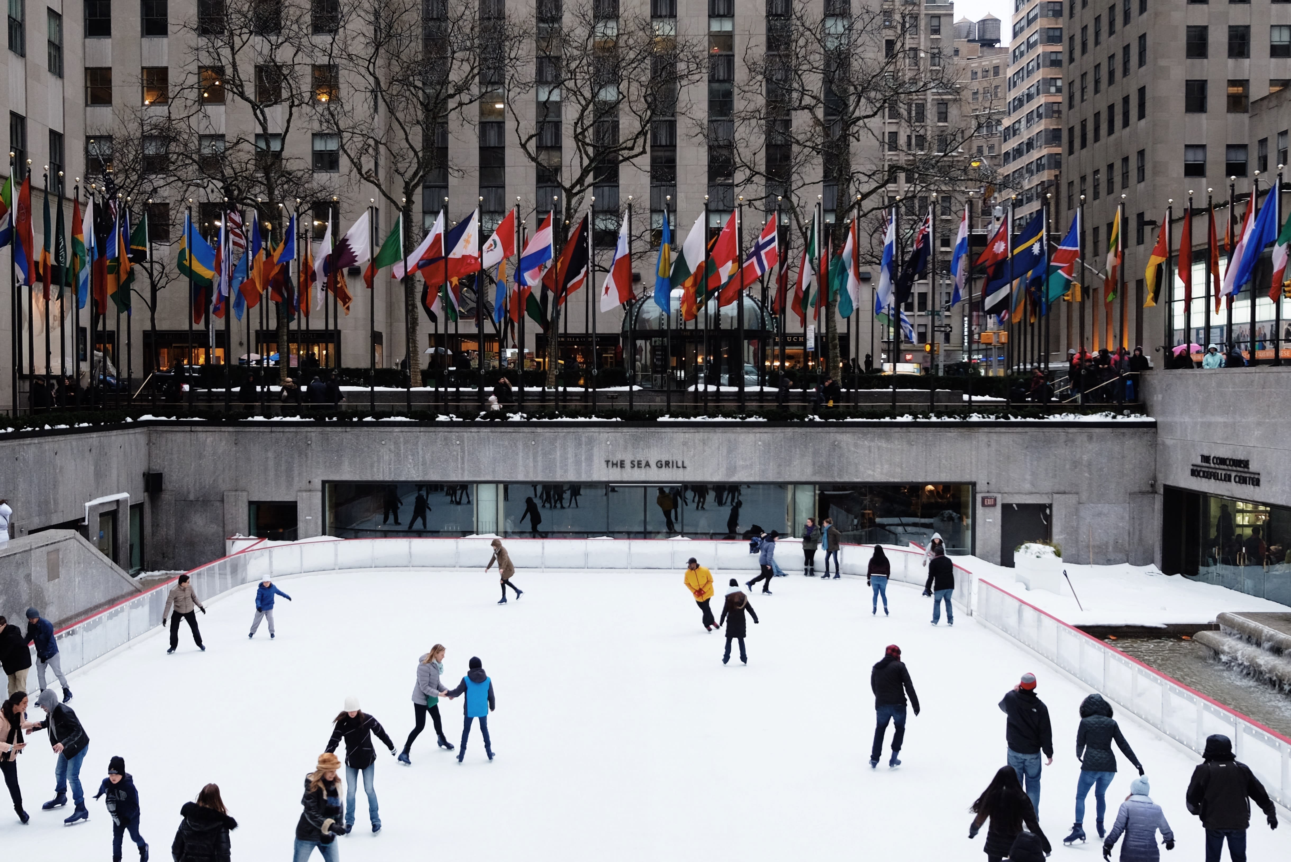 Image of Person, Rink, Skating, 