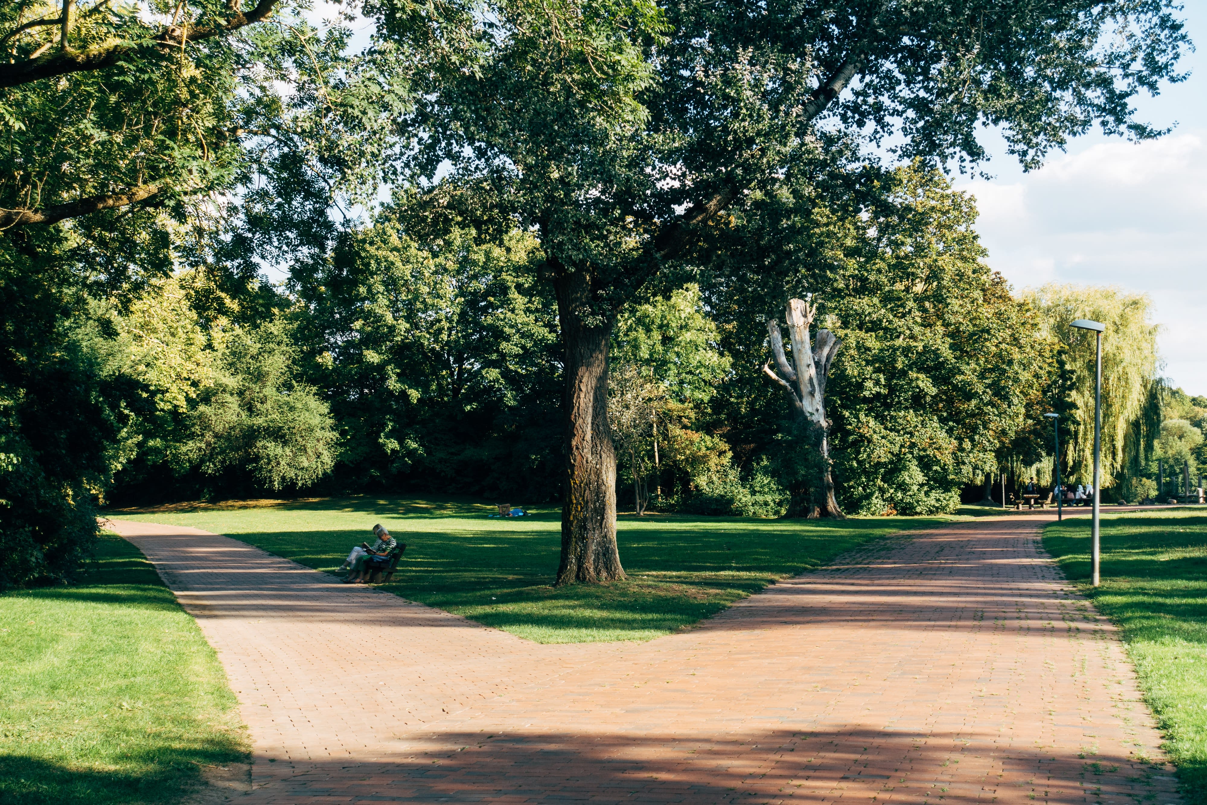 Image of Grass, Nature, Outdoors, Park, Vegetation, Tree, Scenery, Person, Land, Woodland, Path, Trail, Housing, 