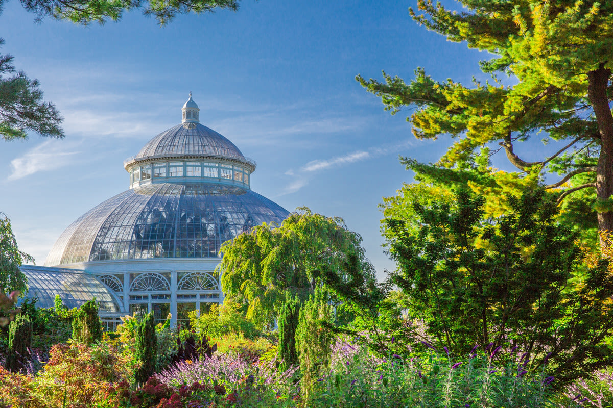 Image of Garden, Nature, Outdoors, Dome, Tree, Fir, 