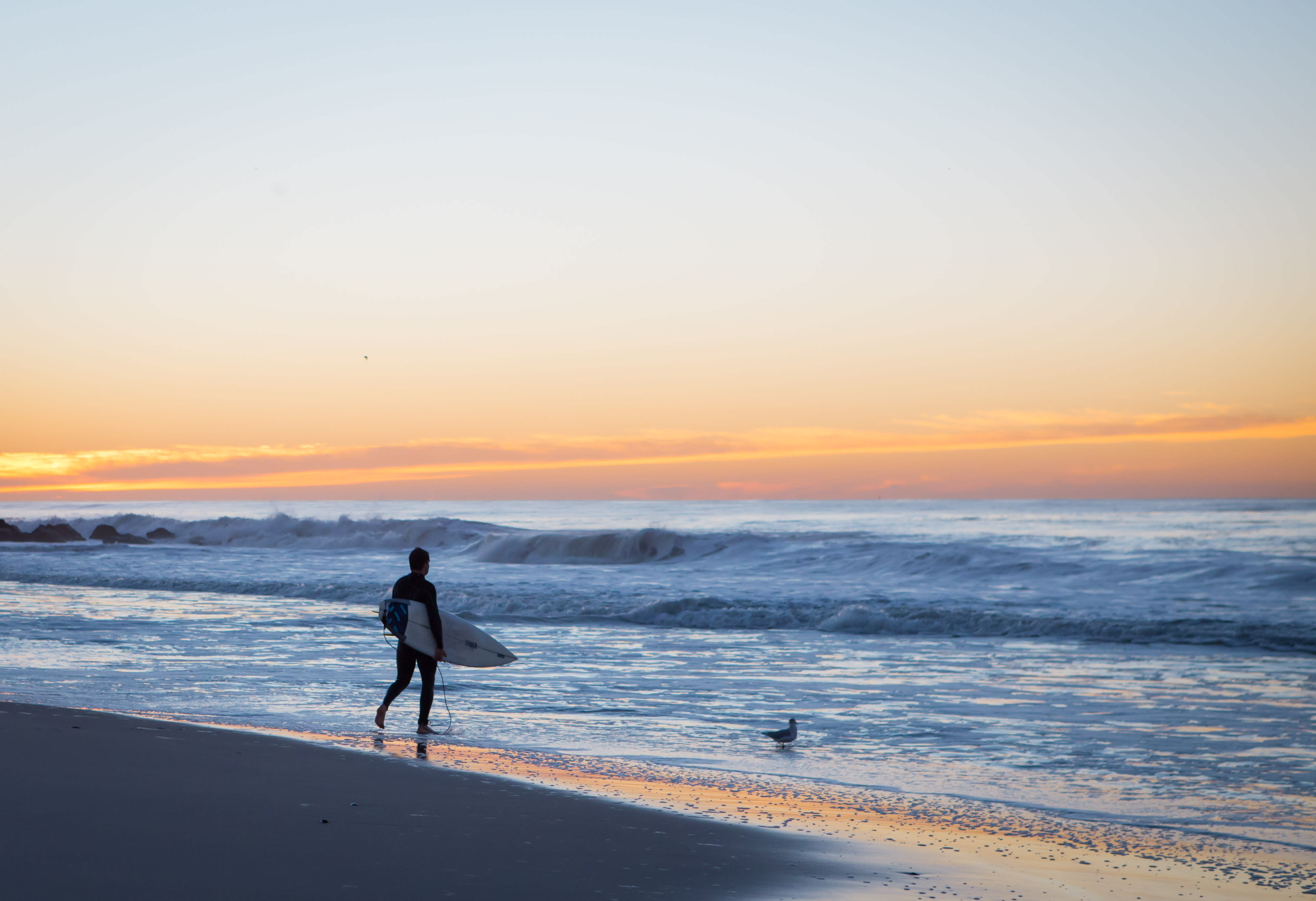 Image of Nature, Outdoors, Sea, Water, Sea Waves, Surfing, Person, Beach, Coast, Shoreline, Sky, Bird, 