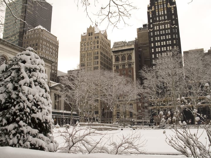 Image of City, Fir, Tree, Ice, Urban, Outdoors, Nature, Weather, Person, Neighborhood, 