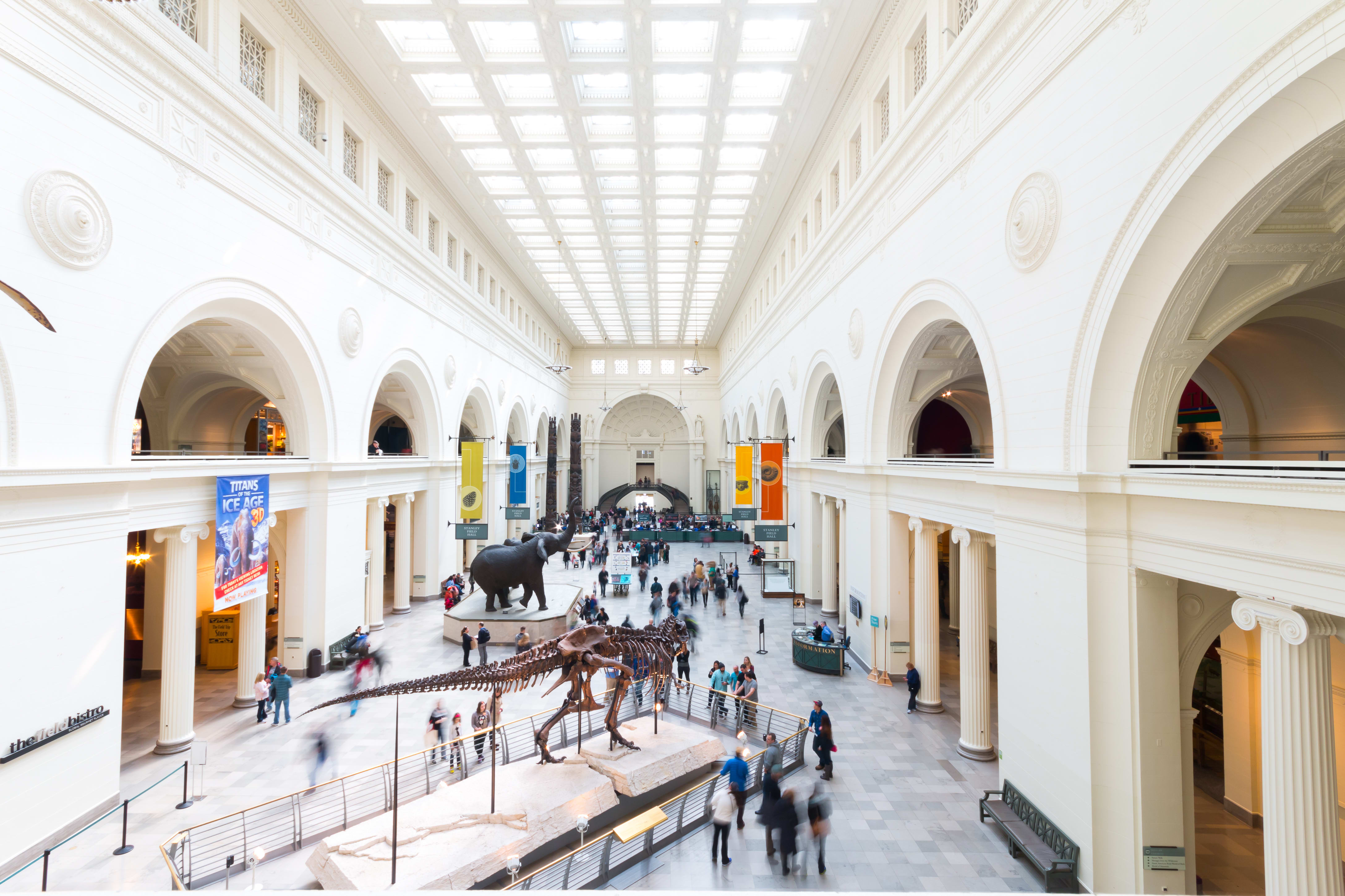 Image of Building, Indoors, Museum, Person, Elephant, 