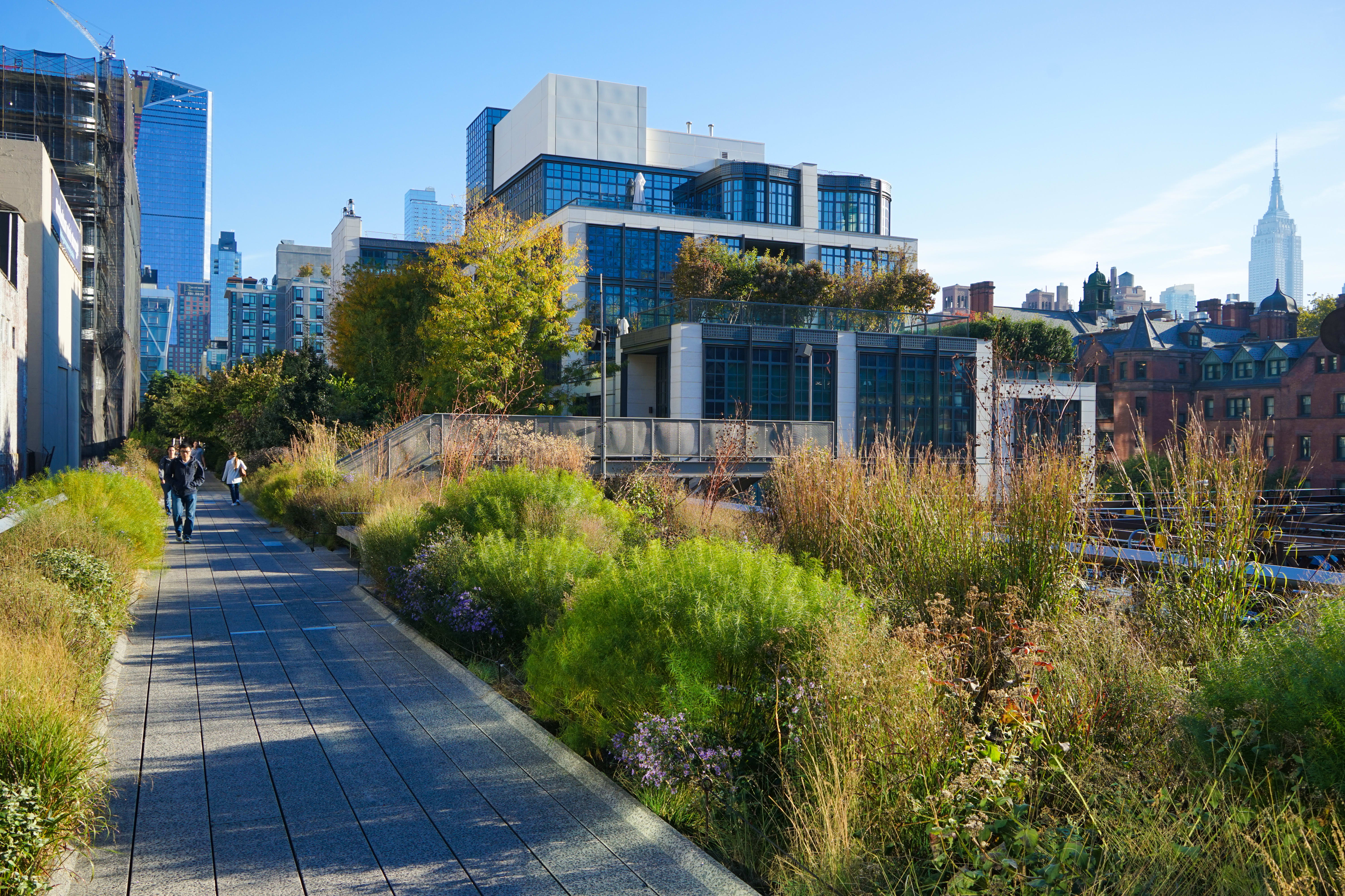 Image of City, Metropolis, Urban, Neighborhood, Cityscape, Path, Office Building, Person, Road, Sidewalk, Street, Grass, 