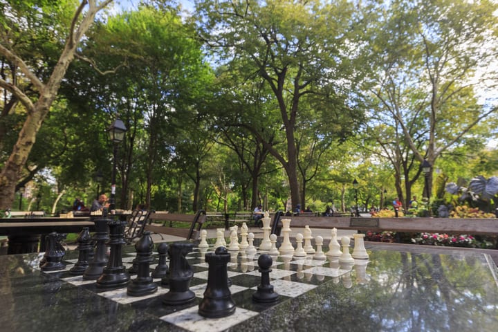 Image of Chess, Game, Person, 