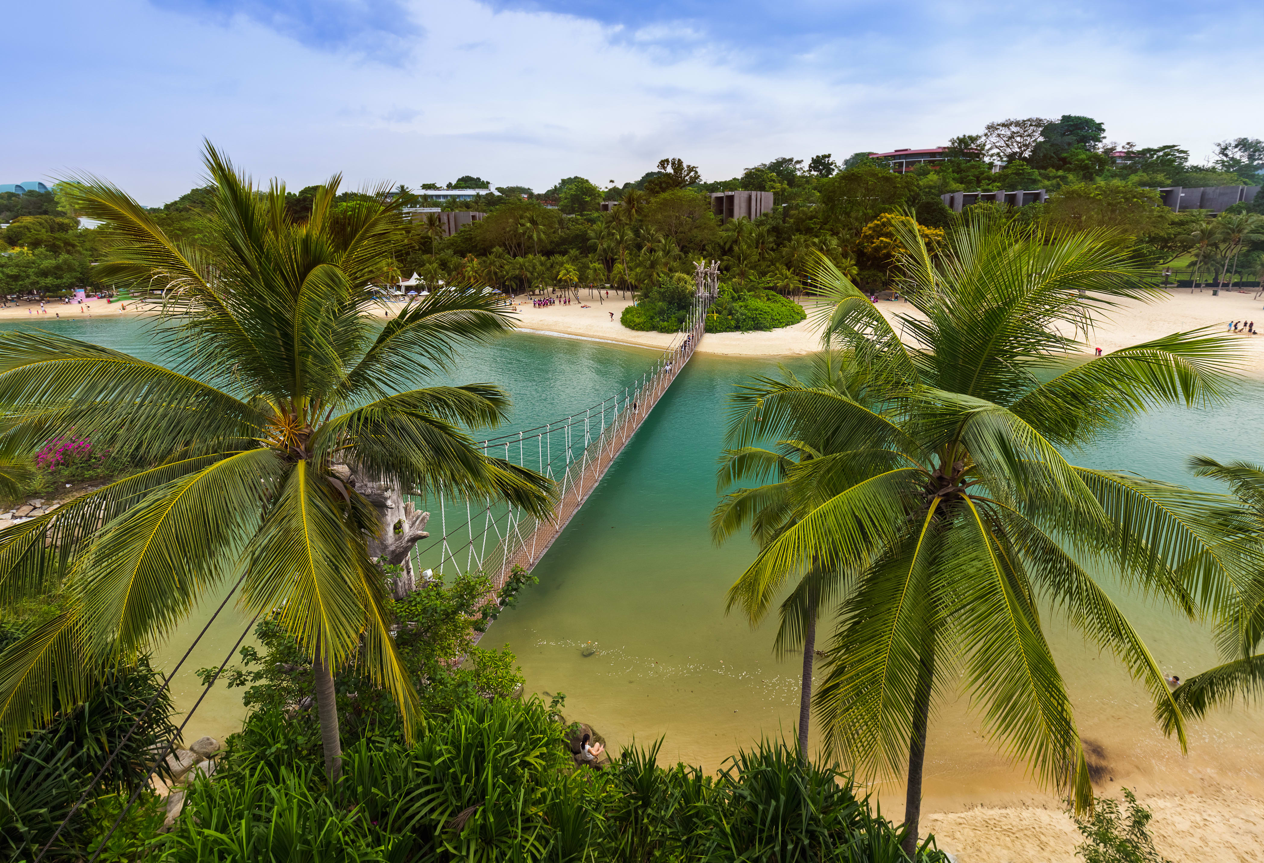 Image of Summer, Nature, Outdoors, Tropical, Hotel, Palm Tree, Tree, Resort, Scenery, Vegetation, 