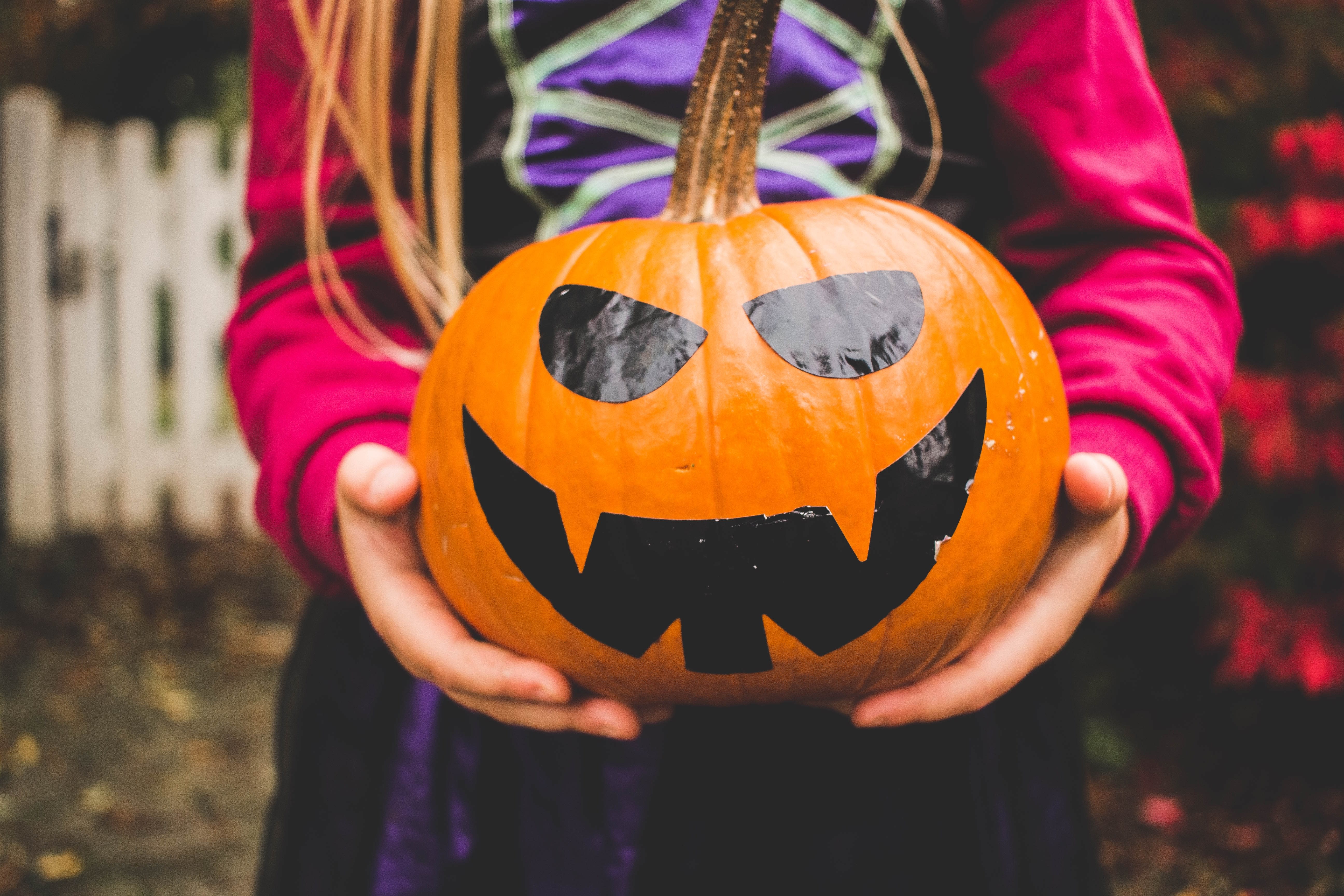 Image of Festival, Halloween, Adult, Female, Person, Woman, Jack-o-lantern, 