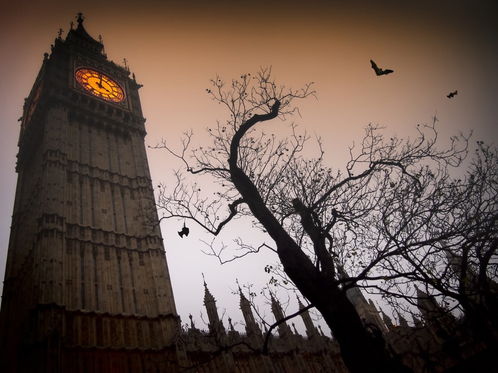 Image of Clock Tower, Tower, 