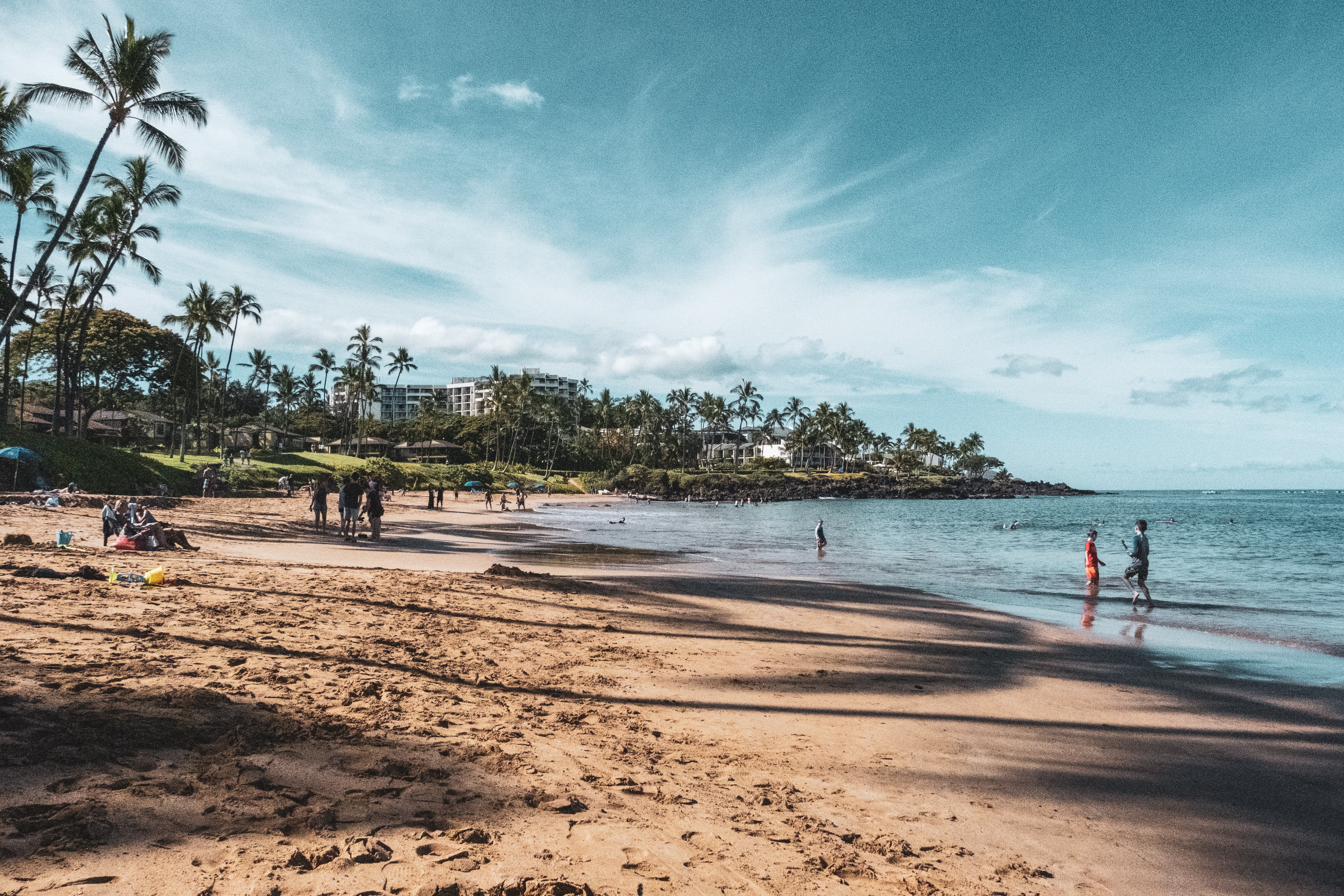 Image of Summer, Beach, Coast, Nature, Outdoors, Sea, Shoreline, Water, Landscape, Palm Tree, Tree, Person, Scenery, Sky, Land, Tropical, 