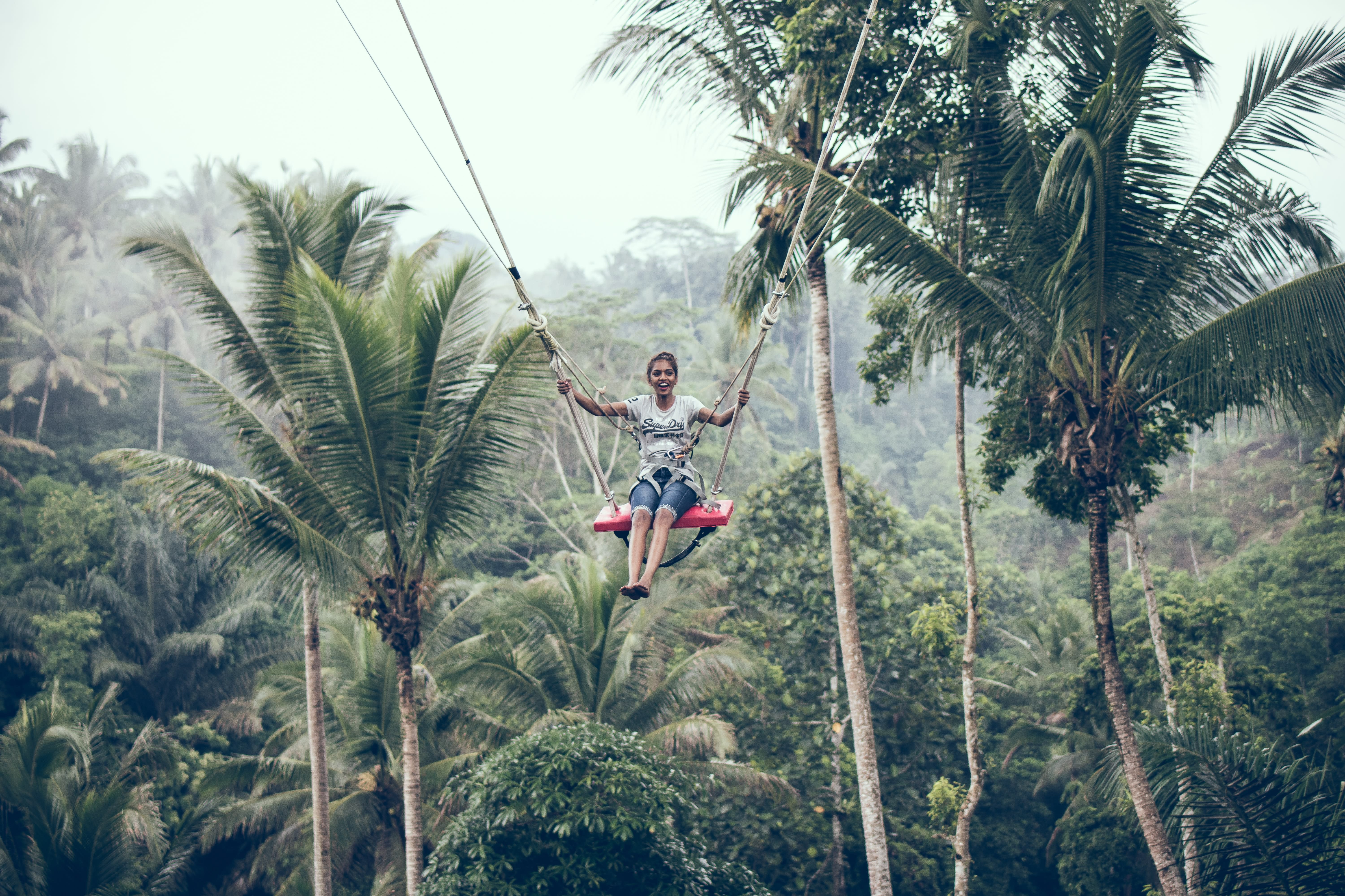 Image of Adult, Female, Person, Woman, Vegetation, Adventure, Ziplining,