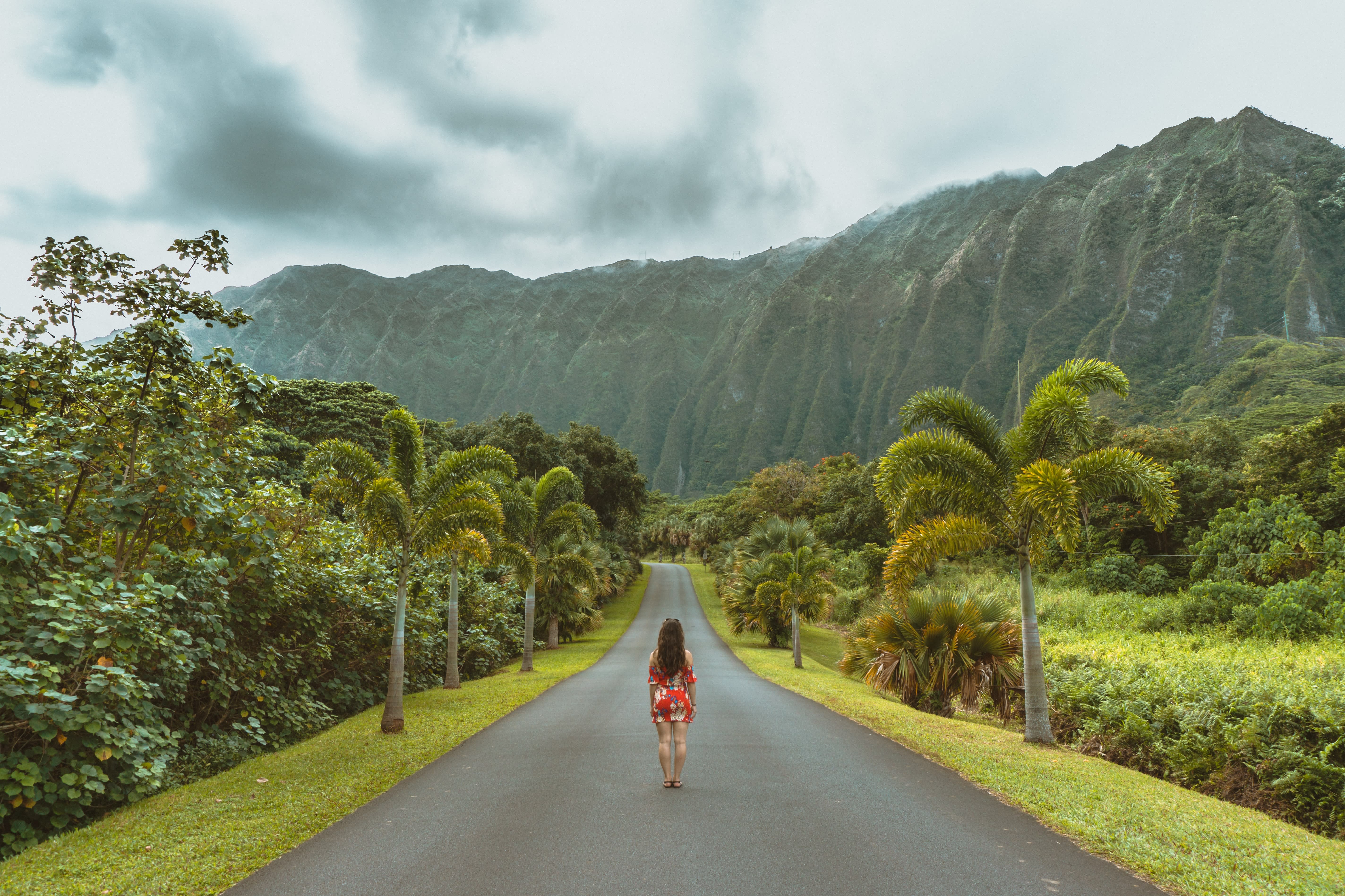 Image of Person, Walking, Road, Vegetation, Nature, Outdoors, Scenery, Tree, Path, Land, Rainforest, 