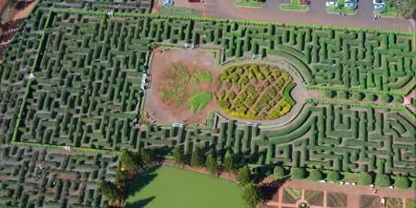 Image of Maze, 