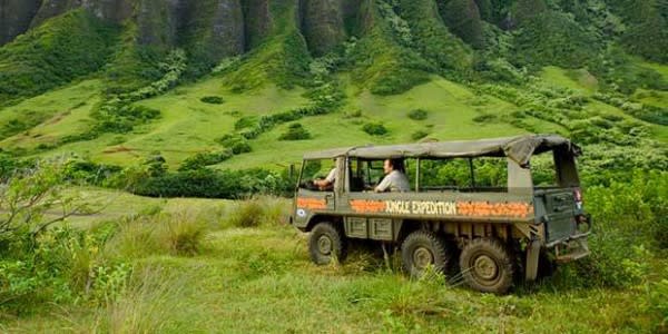 Image of Nature, Outdoors, Person, Bulldozer, 