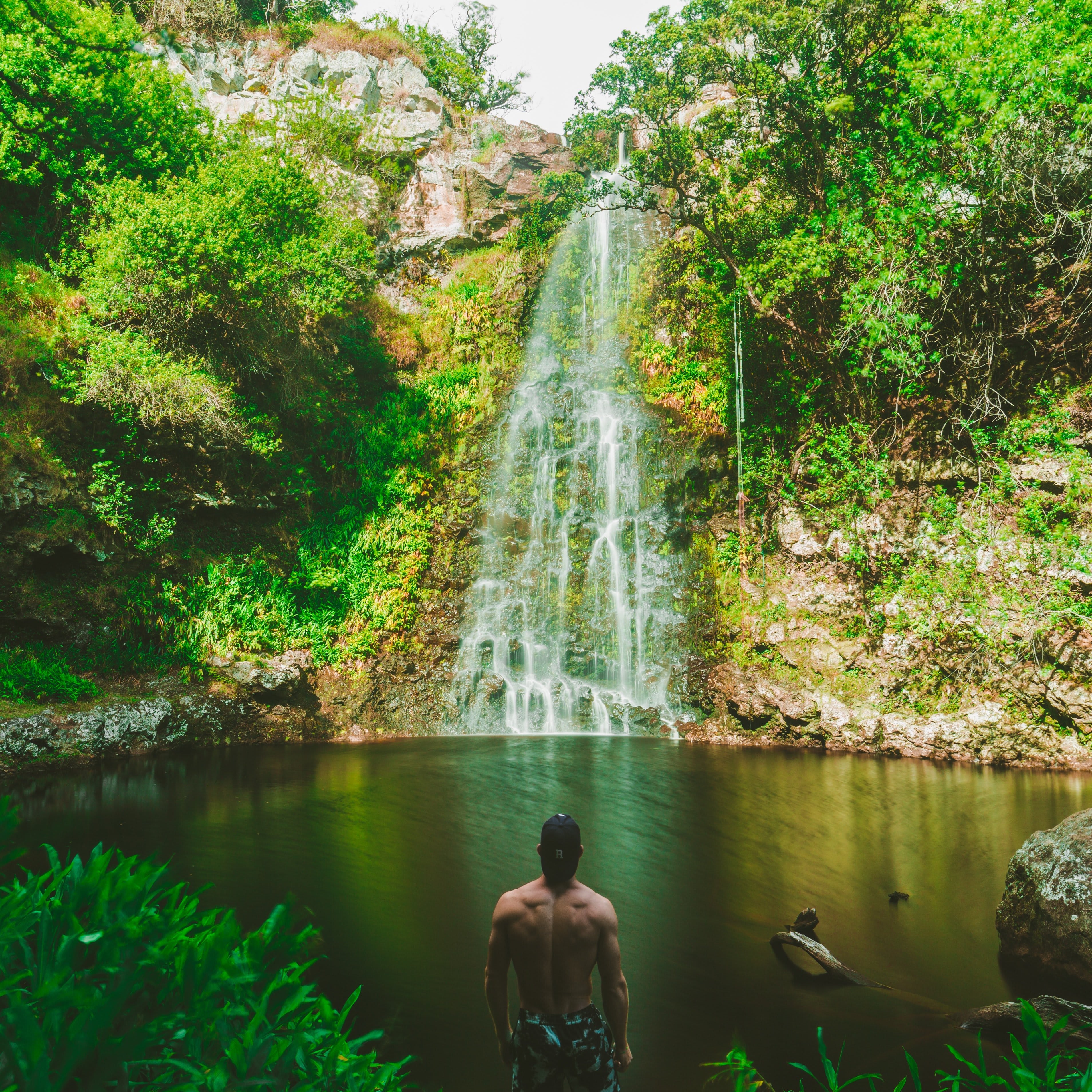 Image of Jungle, Land, Nature, Outdoors, Rainforest, Tree, Vegetation, Back, Person, Rock, Moss, Woodland, Summer, Grove, Photography, Water, Adult, Male, Man, Green, Head, Portrait, Herbal, Landscape, Grass, Bathing, Scenery, Waterfall, Wilderness, 