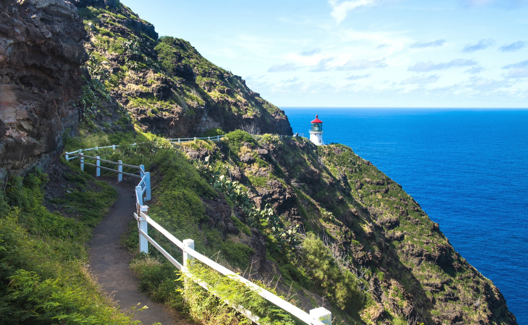 Image of Cliff, Nature, Outdoors, Promontory, Water, Scenery, Path, Newfoundland, Slope, Sea, Landscape, Trail, 