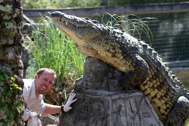 Image of Animal, Lizard, Adult, Male, Man, Person, Tree, 