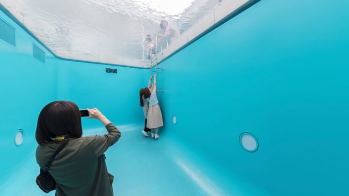 Image of Adult, Female, Person, Woman, Electronics, Mobile Phone, Phone, Water, Bag, Handbag, Outdoors, 