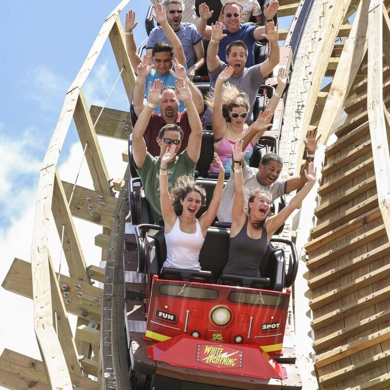 Image of Adult, Male, Man, Person, Amusement Park, Fun, Roller Coaster, Female, Woman, 