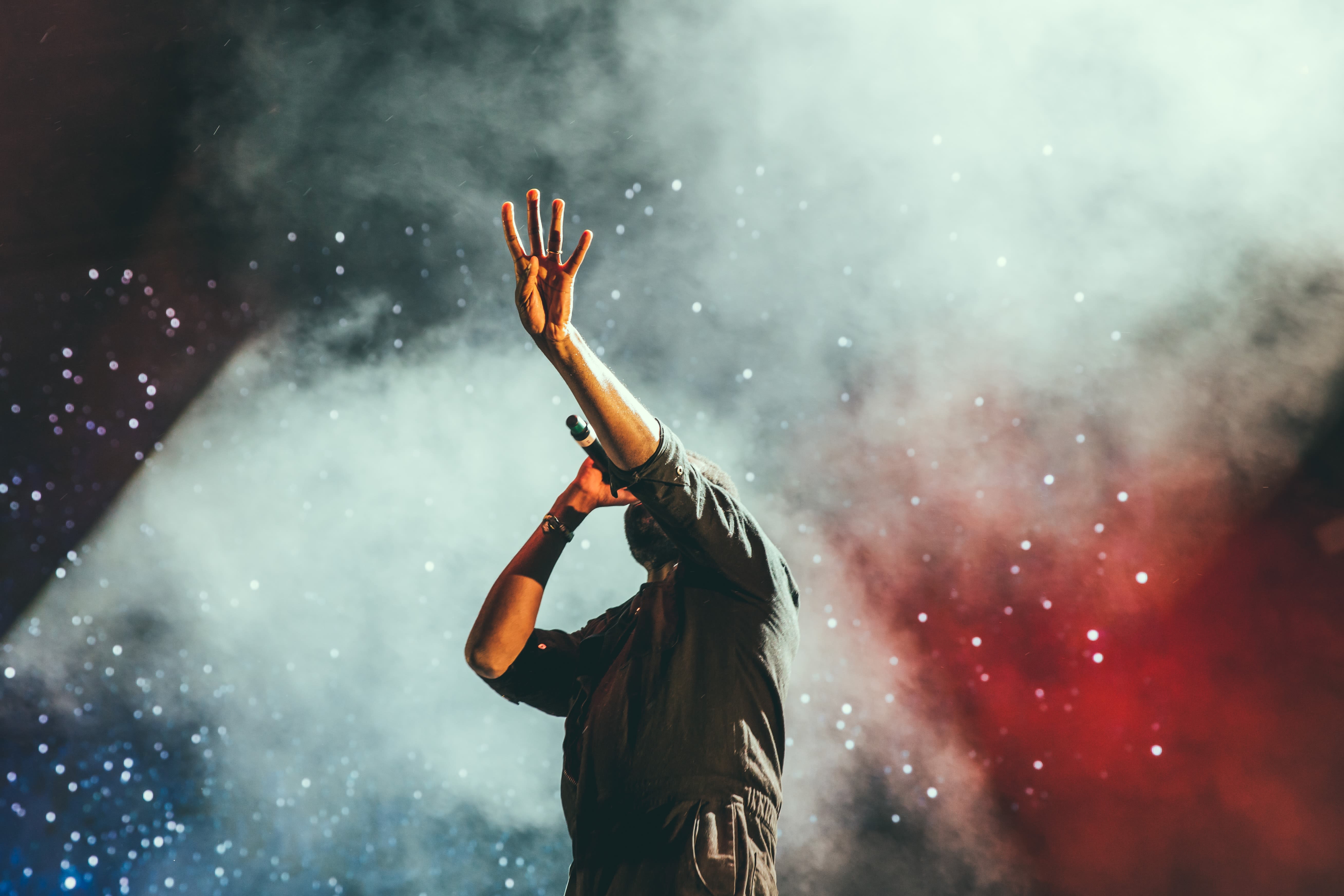 Image of Concert, Crowd, Person, Performer, Solo Performance, Adult, Male, Man, 