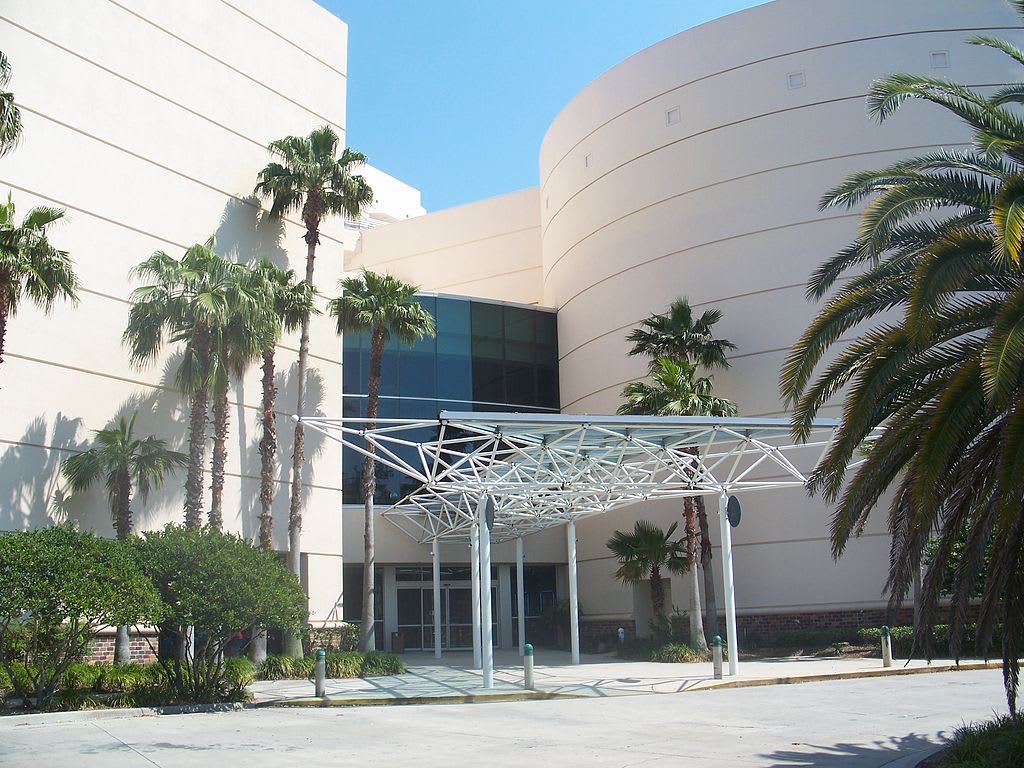 Image of Building, Convention Center, Office Building, Tree, City, Outdoors, Shelter, Palm Tree, Urban, Summer, Grass, Vegetation, 