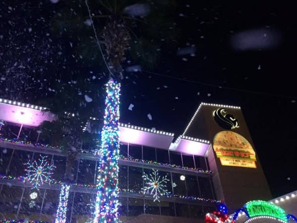 Image of Lighting, Christmas, Christmas Decorations, Festival, Christmas Tree, Shop, Shopping Mall, 