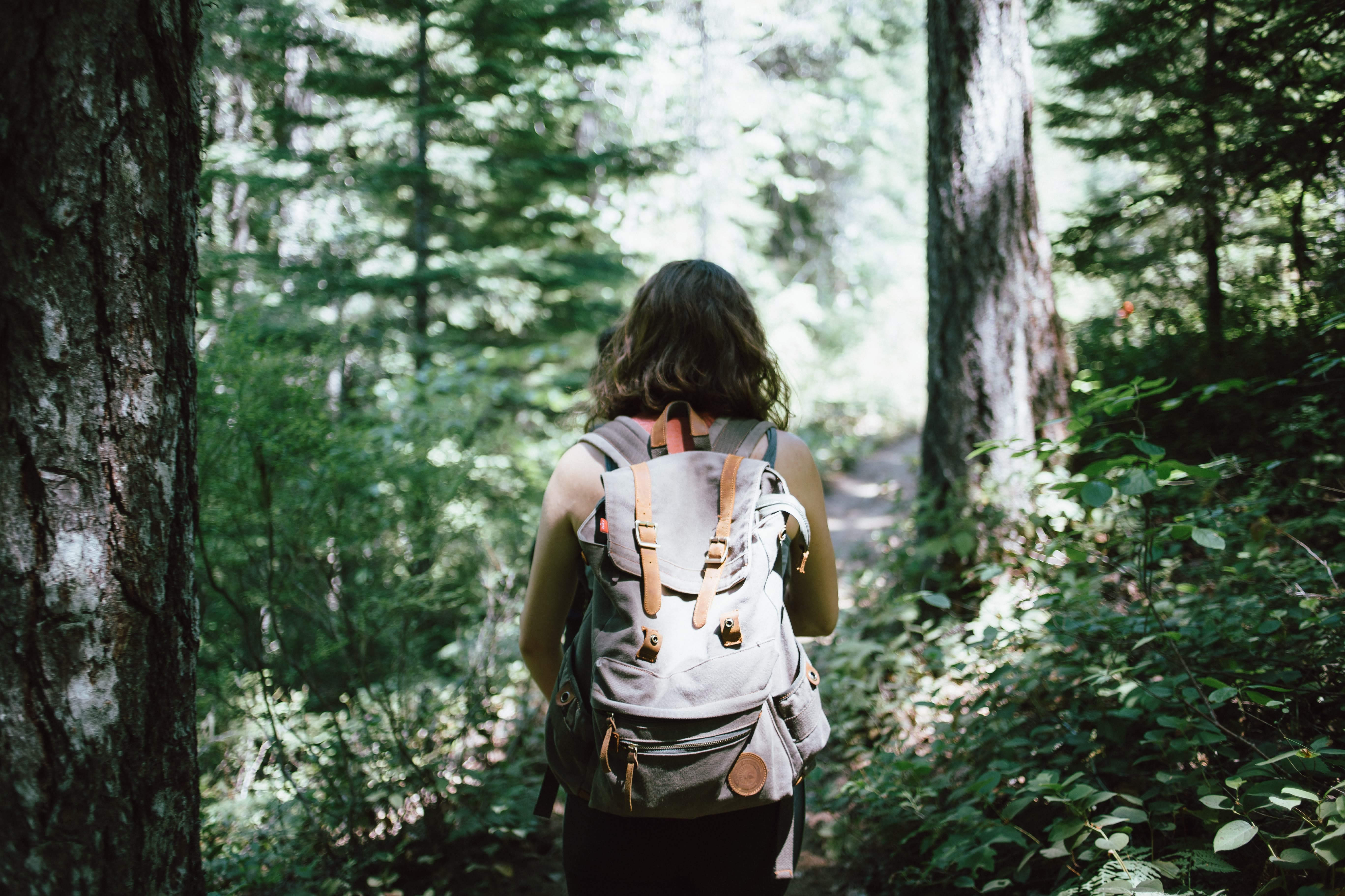 Image of Vegetation, Land, Nature, Outdoors, Tree, Woodland, Adventure, Hiking, Person, Bag, Jungle, Grove, Rainforest, Female, Girl, Teen, Backpack, Backpacking, Photography, Handbag, 