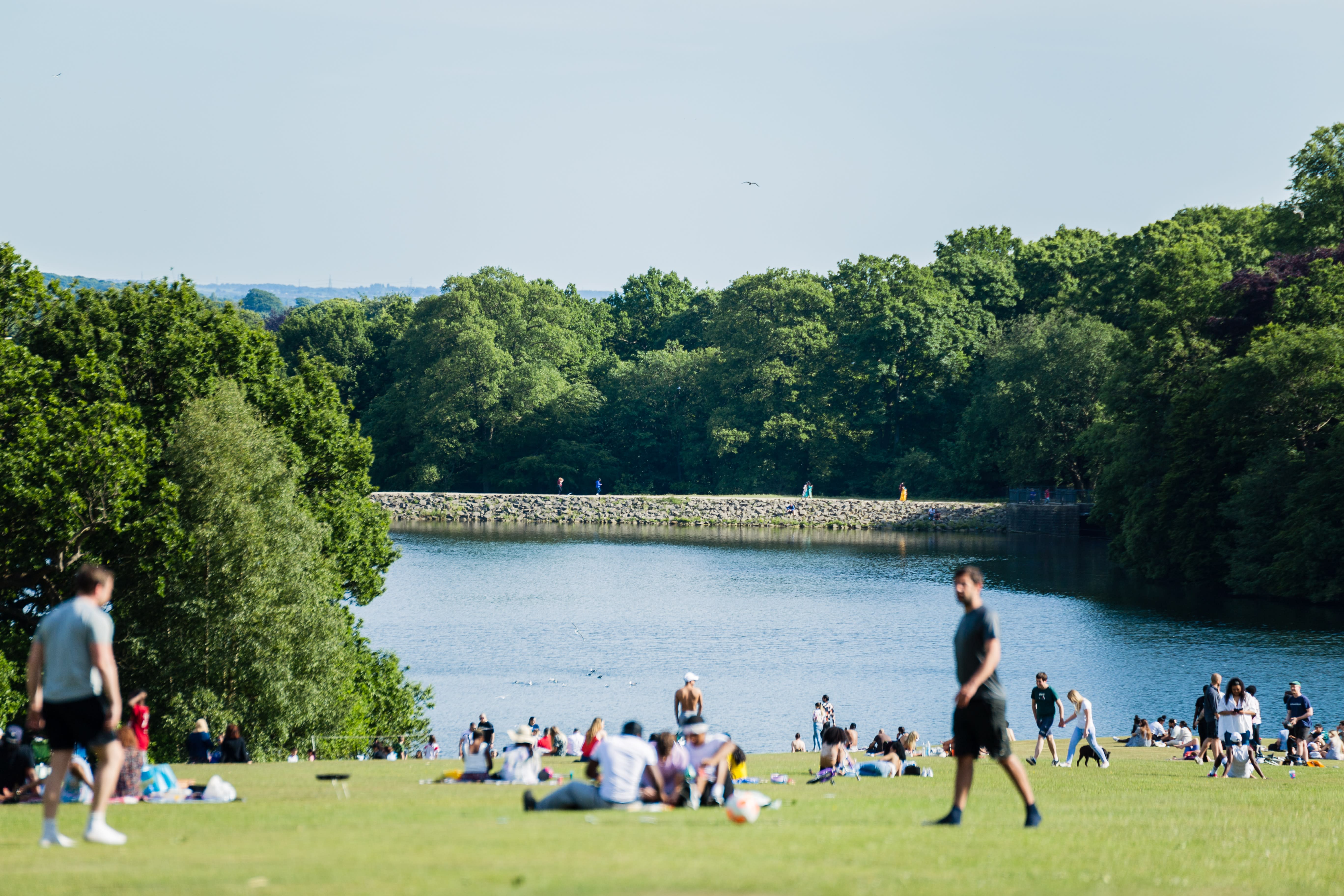 Image of Grass, Nature, Outdoors, Park, Scenery, Person, Vegetation, Grove, Land, Tree, Woodland, Shoe, Adult, Male, Man, Walking, Soccer Ball, Water, Waterfront, 