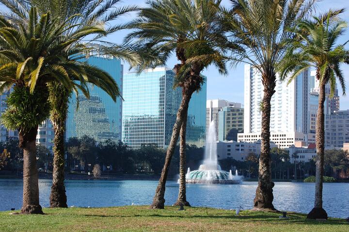 Image of City, Urban, Grass, Nature, Outdoors, Park, Fountain, Water, Cityscape, Metropolis, Summer, Tree, Waterfront, Palm Tree, 