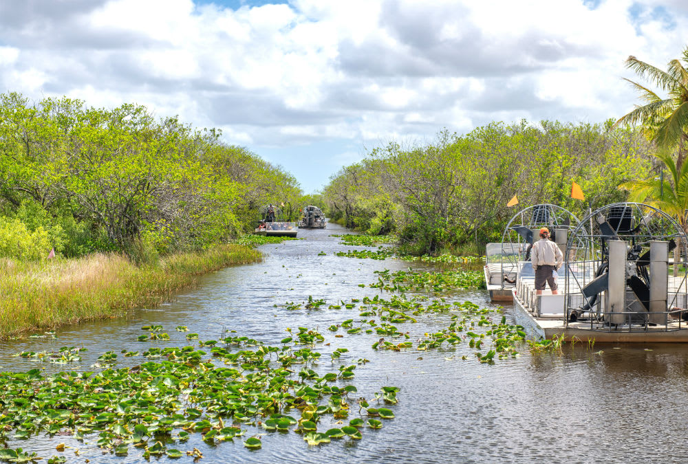 Image of Land, Nature, Outdoors, Scenery, Vegetation, Swamp, Water, Pond, Person, Rainforest, Tree, Summer, Canal, Path, 