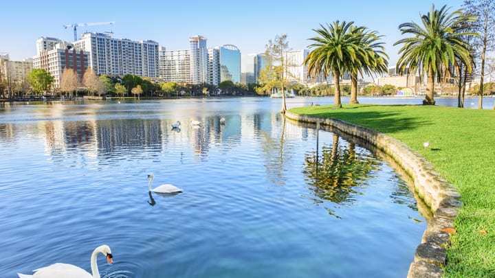 Image of Nature, Outdoors, Scenery, City, Urban, Grass, Park, Cityscape, Pond, Water, Animal, Bird, Construction Crane, 