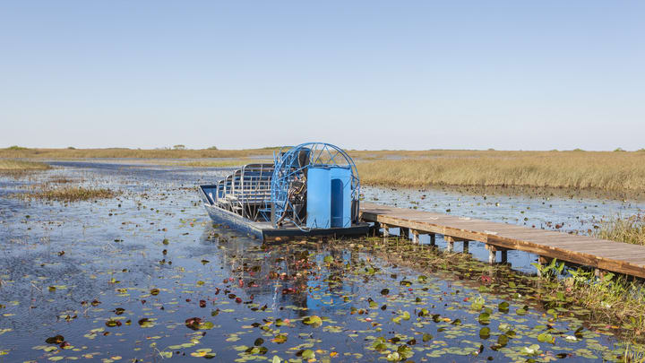 Image of Water, Waterfront, Land, Nature, Outdoors, Boardwalk, Bridge, Scenery, Port, Boat, Vehicle, Pier, Swamp, Pond, 