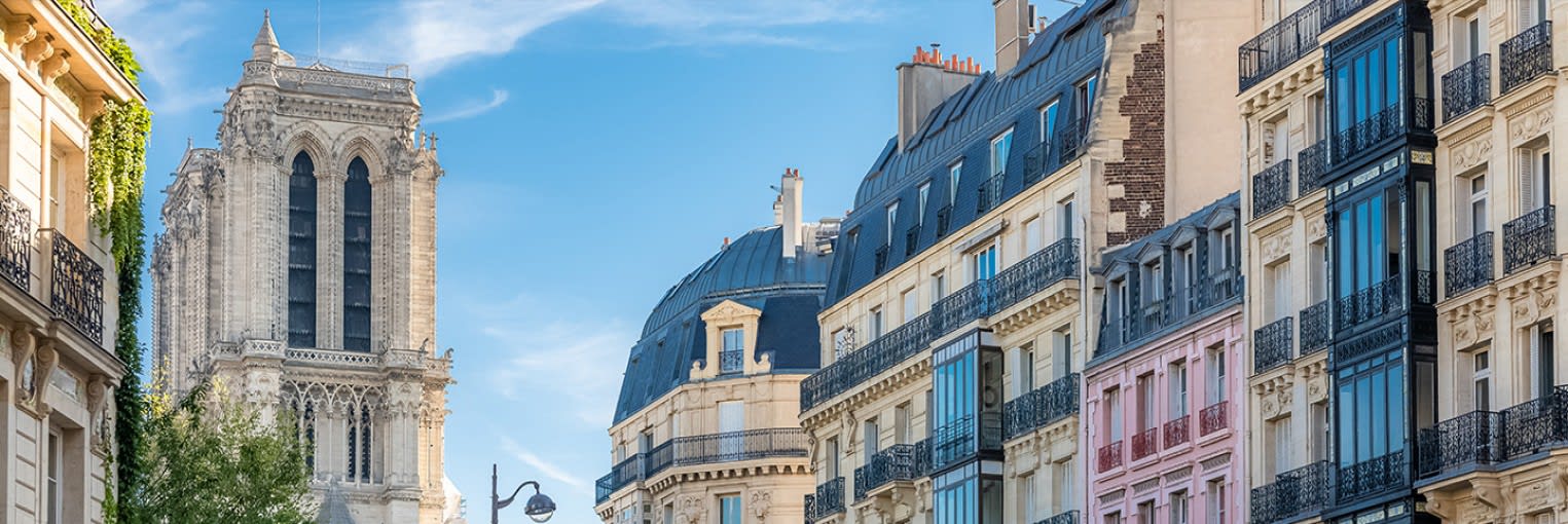 Decouverte de Paris パリーの発見・ほか (複製)全揃 Decouverte de Paris パリーの発見・ほか (複製)全揃