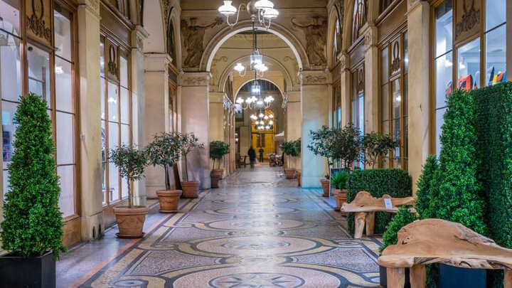 Image of Floor, Indoors, Plant, Foyer, 