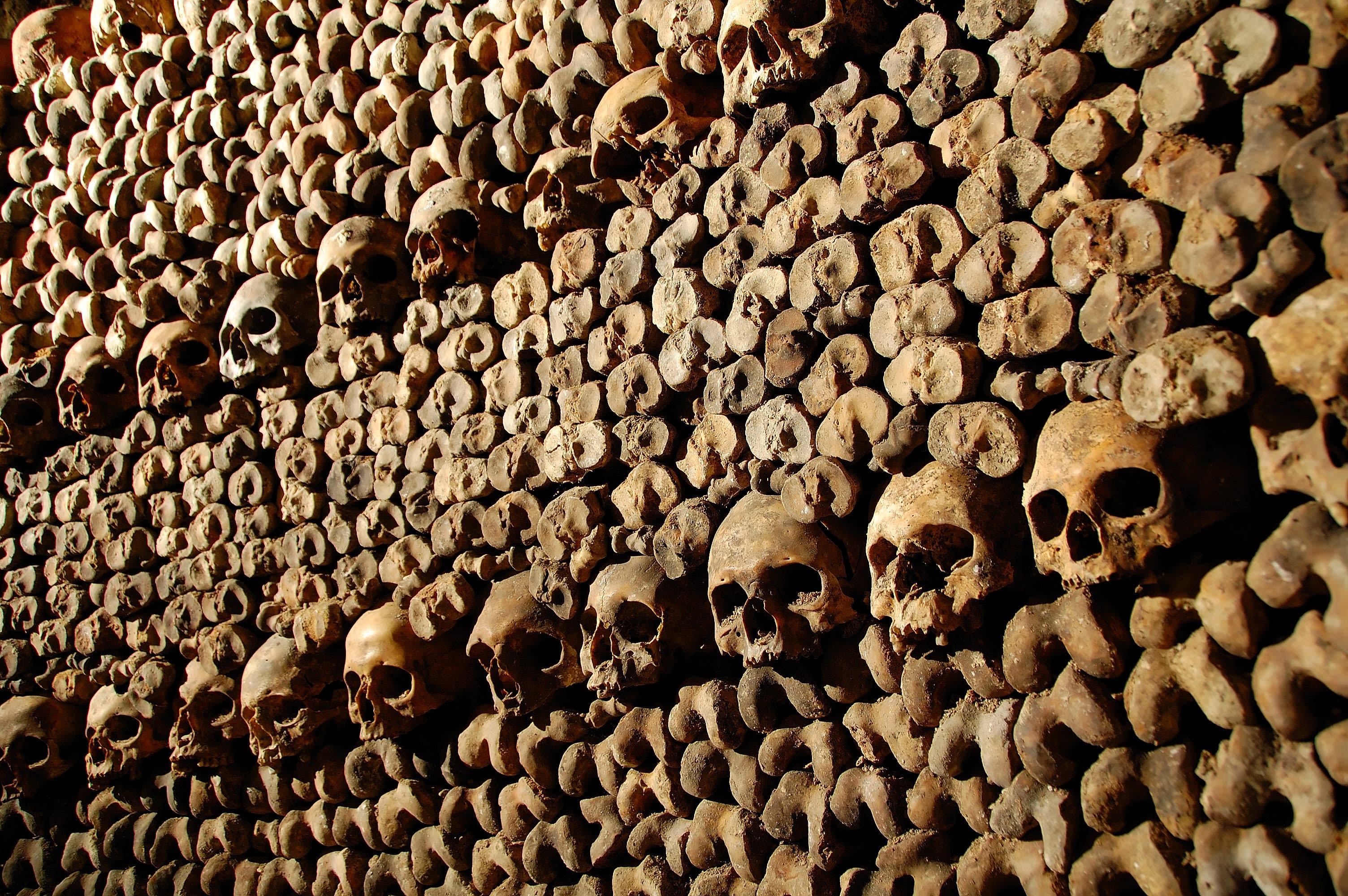 Image of Wood,