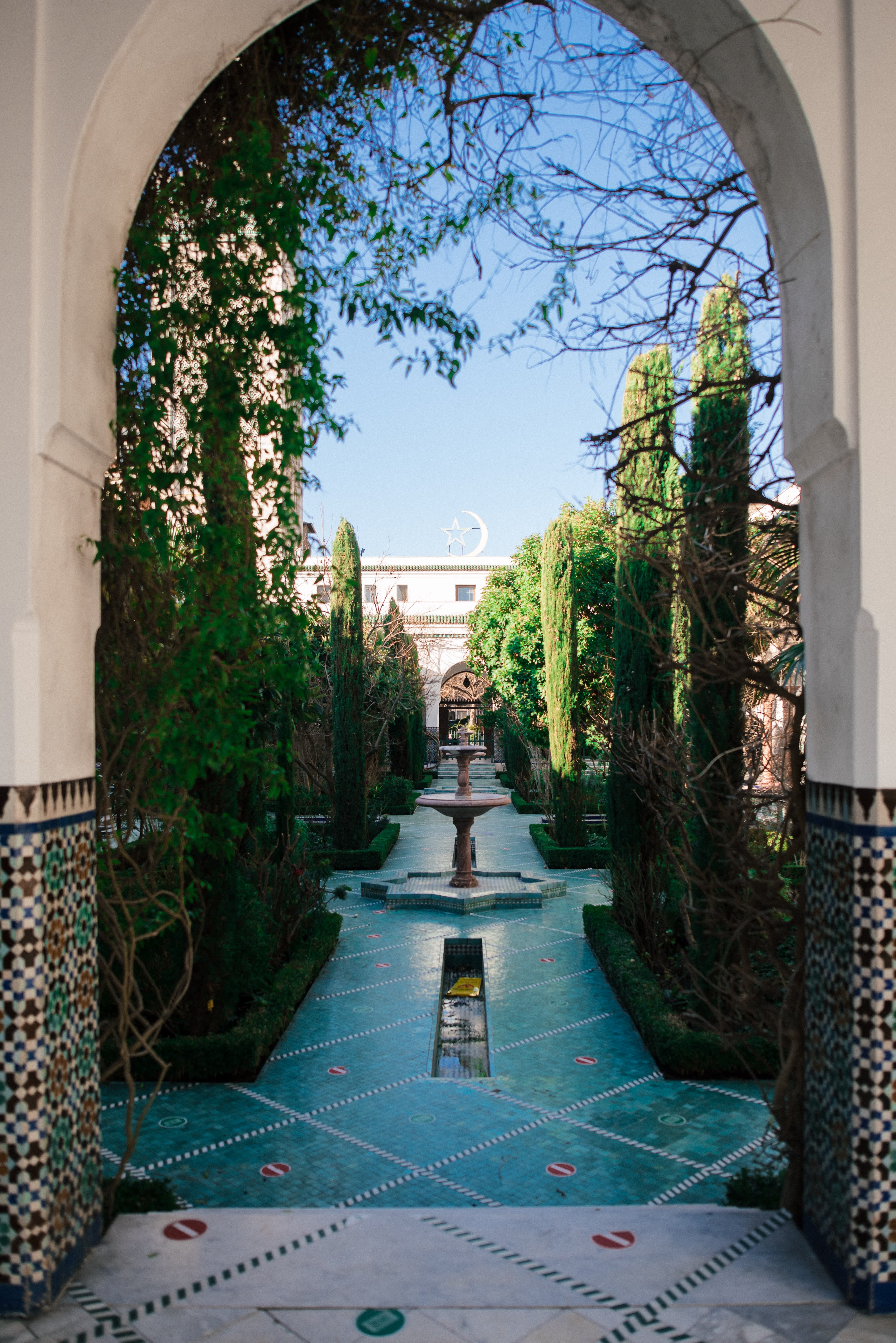 Image of Path, Walkway, Garden, Nature, Outdoors, City, Road, Street, Urban, House, Housing, Villa, Flagstone, Arbour, Arch, Tree,