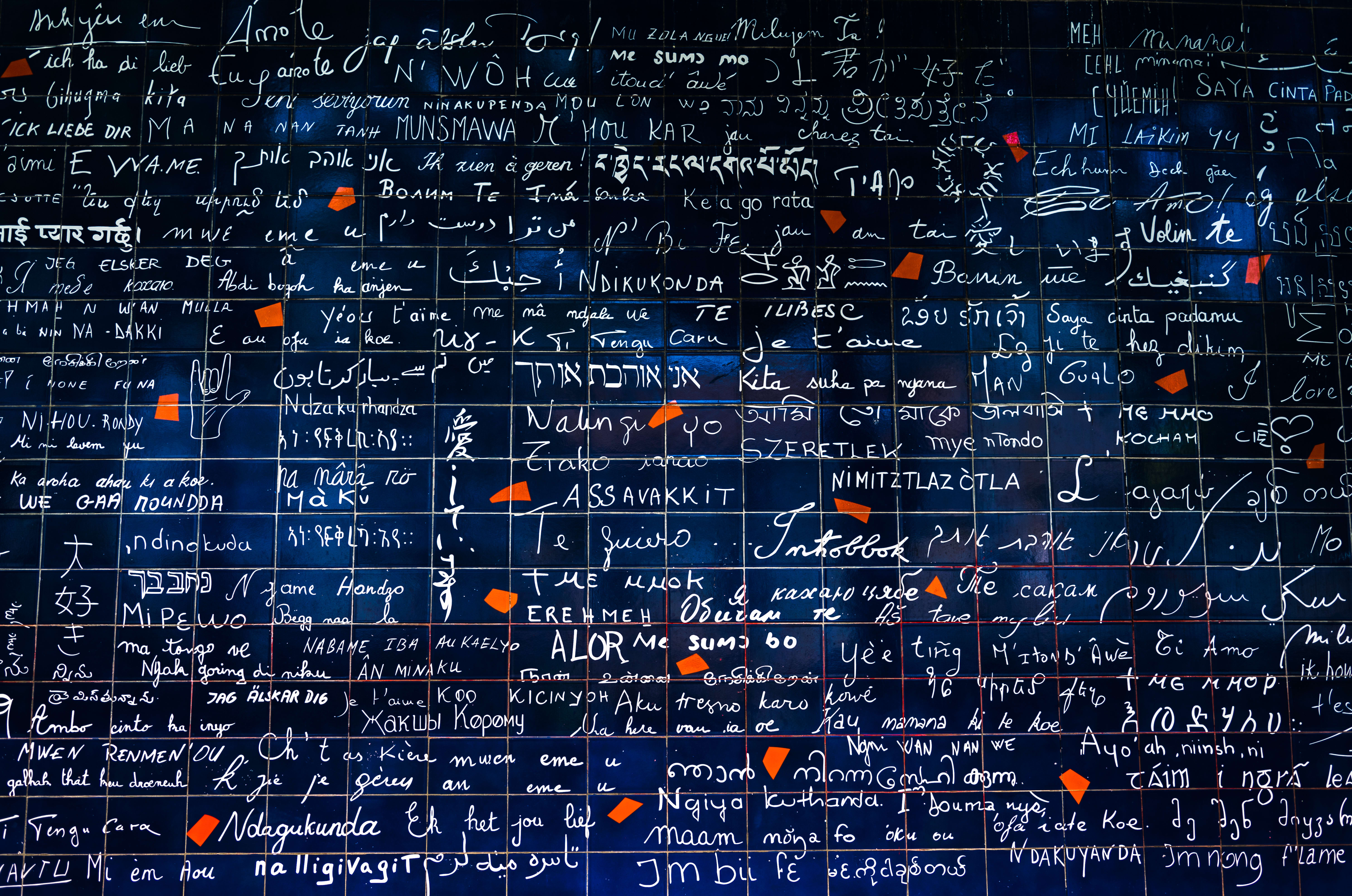 Image of Blackboard, Text,