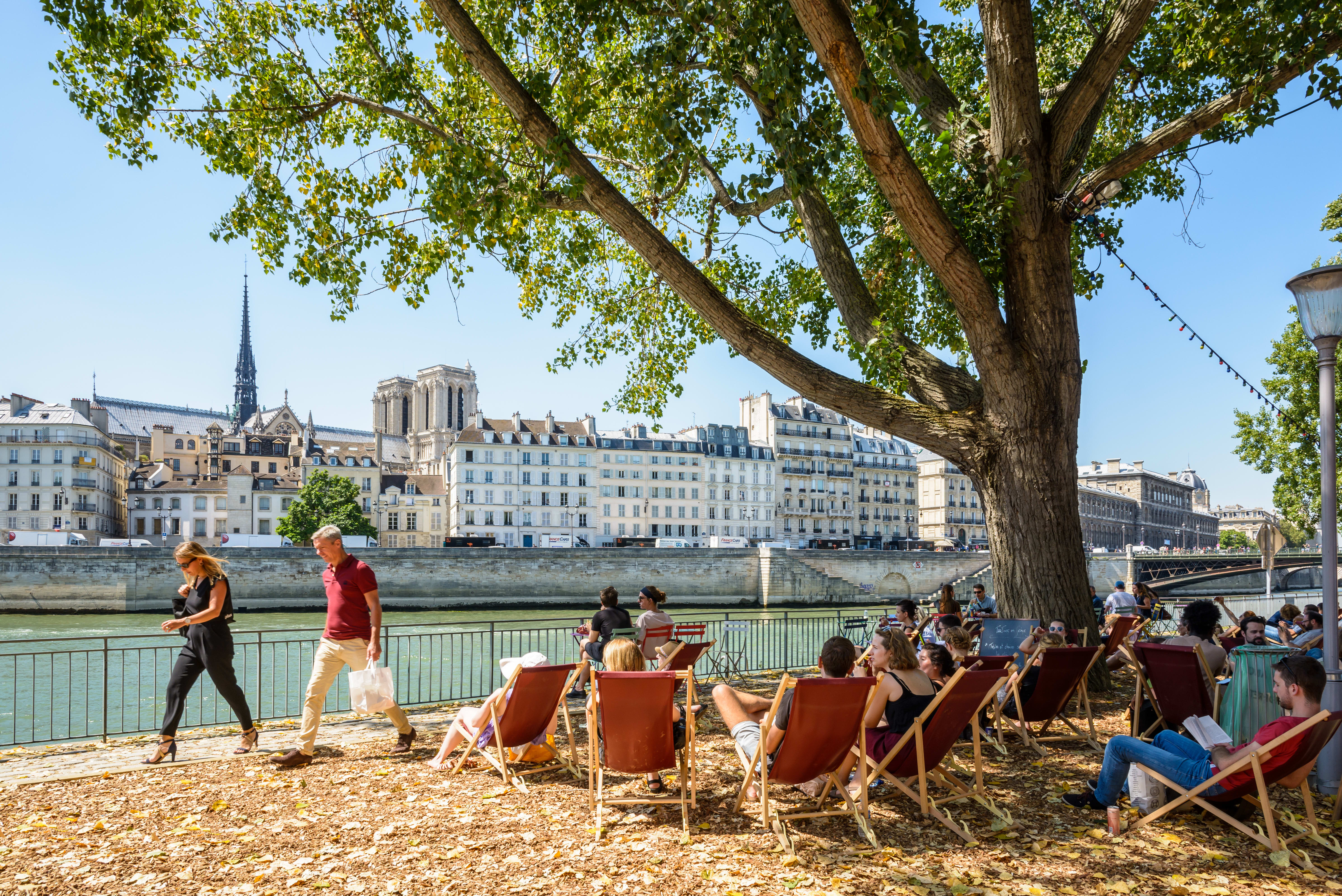 Image of City, Neighborhood, Photography, Urban, People, Person, Nature, Outdoors, Scenery, Boy, Child, Male, Adult, Man, Chair, Furniture, Grass, Metropolis, Walking, Tree, Handbag, 