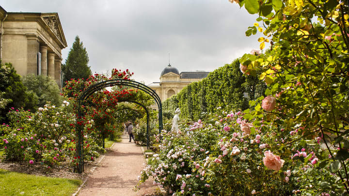 Image of Garden, Nature, Outdoors, Arbour, Arch, Person, Housing, House, Patio, Porch, 