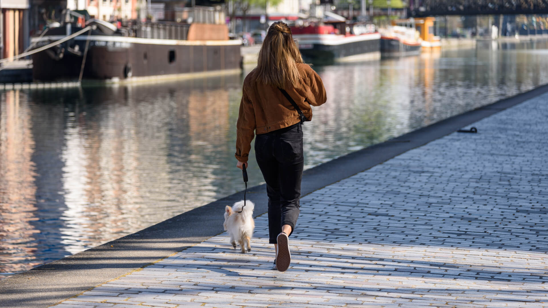 Image of Person, Walking, Water, Waterfront, Adult, Female, Woman, Animal, Canine, Dog, Mammal, Pet, Path, Pants, 