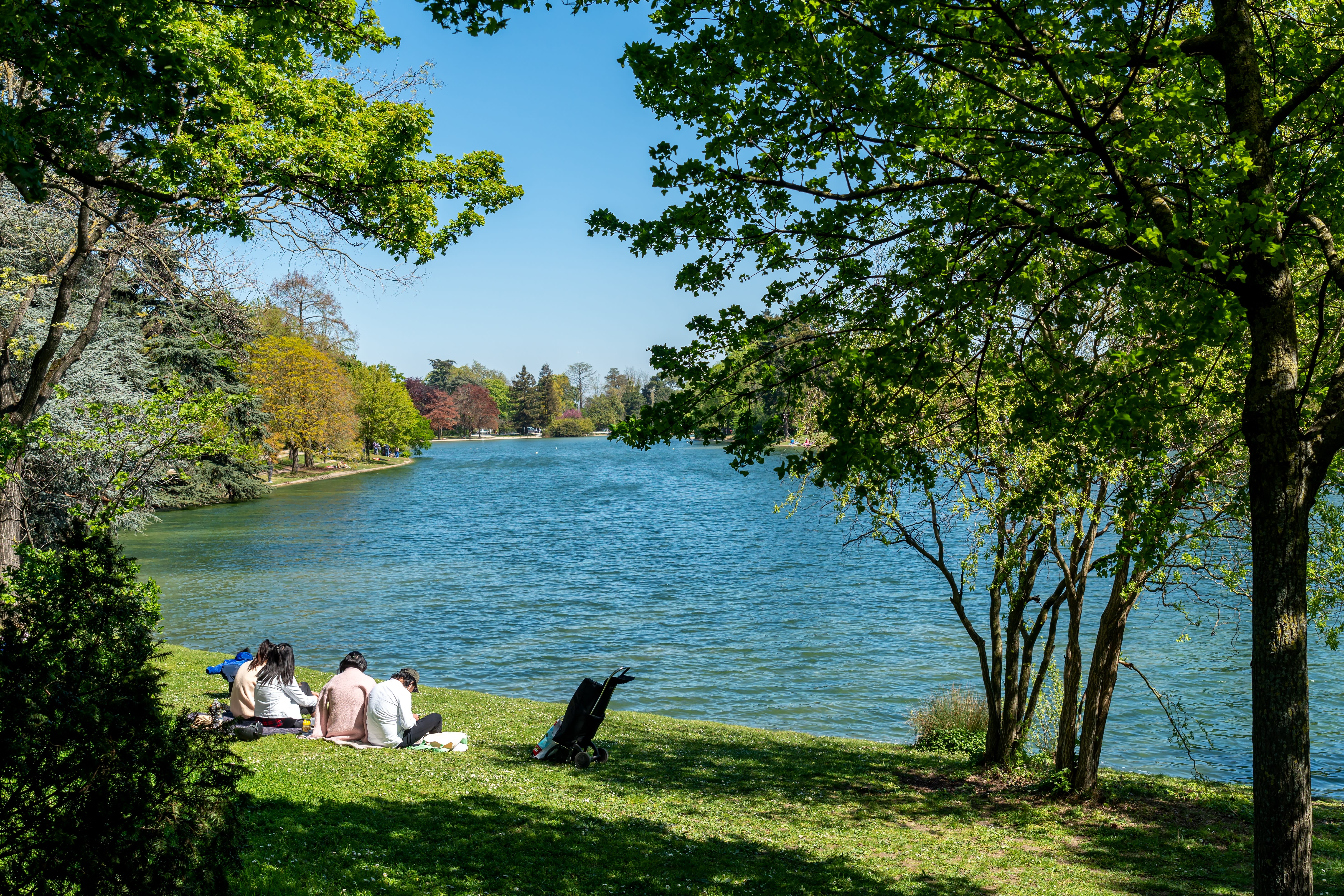 Image of Nature, Outdoors, Scenery, Grass, Park, Vegetation, Grove, Land, Tree, Woodland, Landscape, Lake, Water, Summer, Person, Pond, Handbag, 