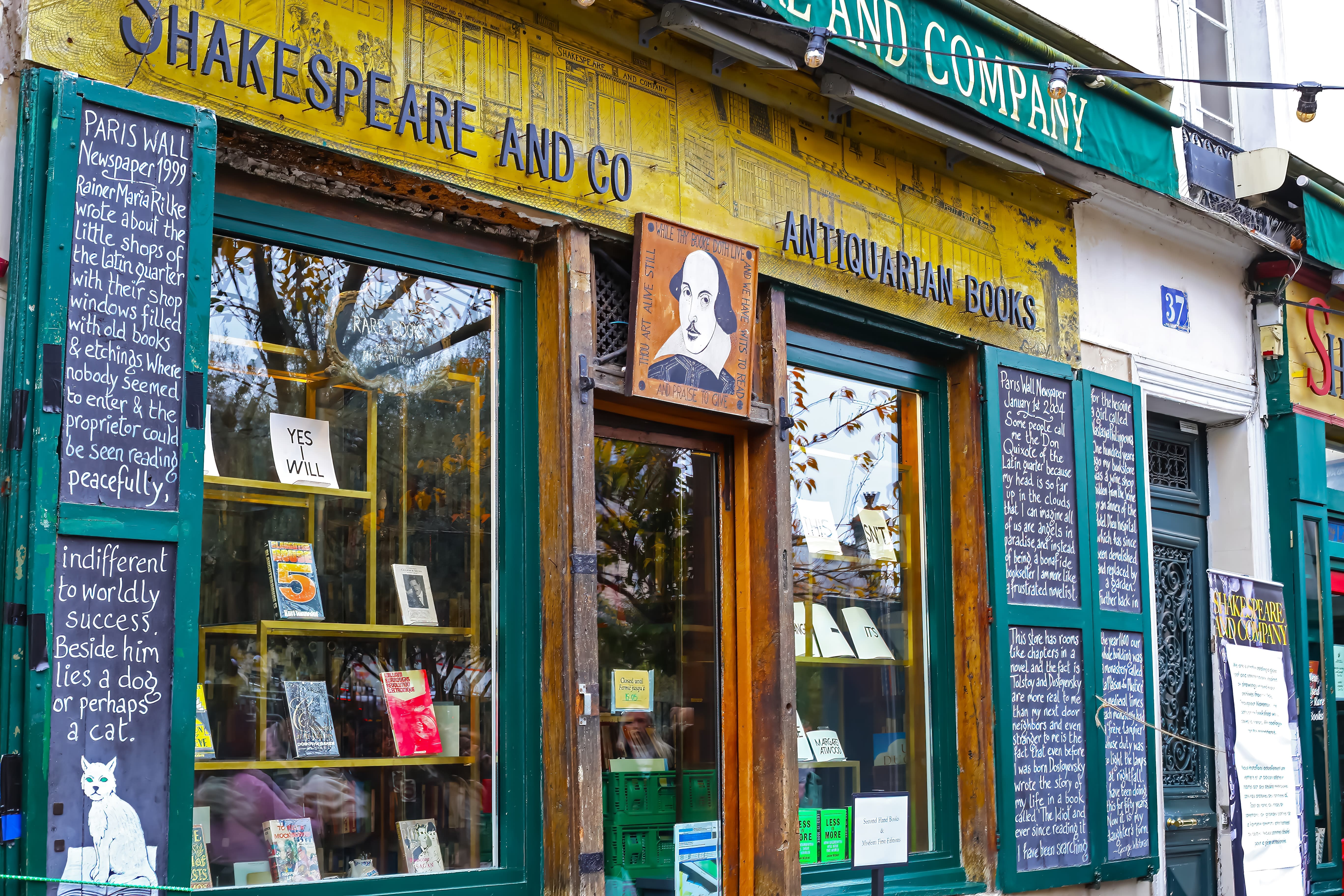 Image of Book, Publication, Shop, Person, Bookstore, Painting,