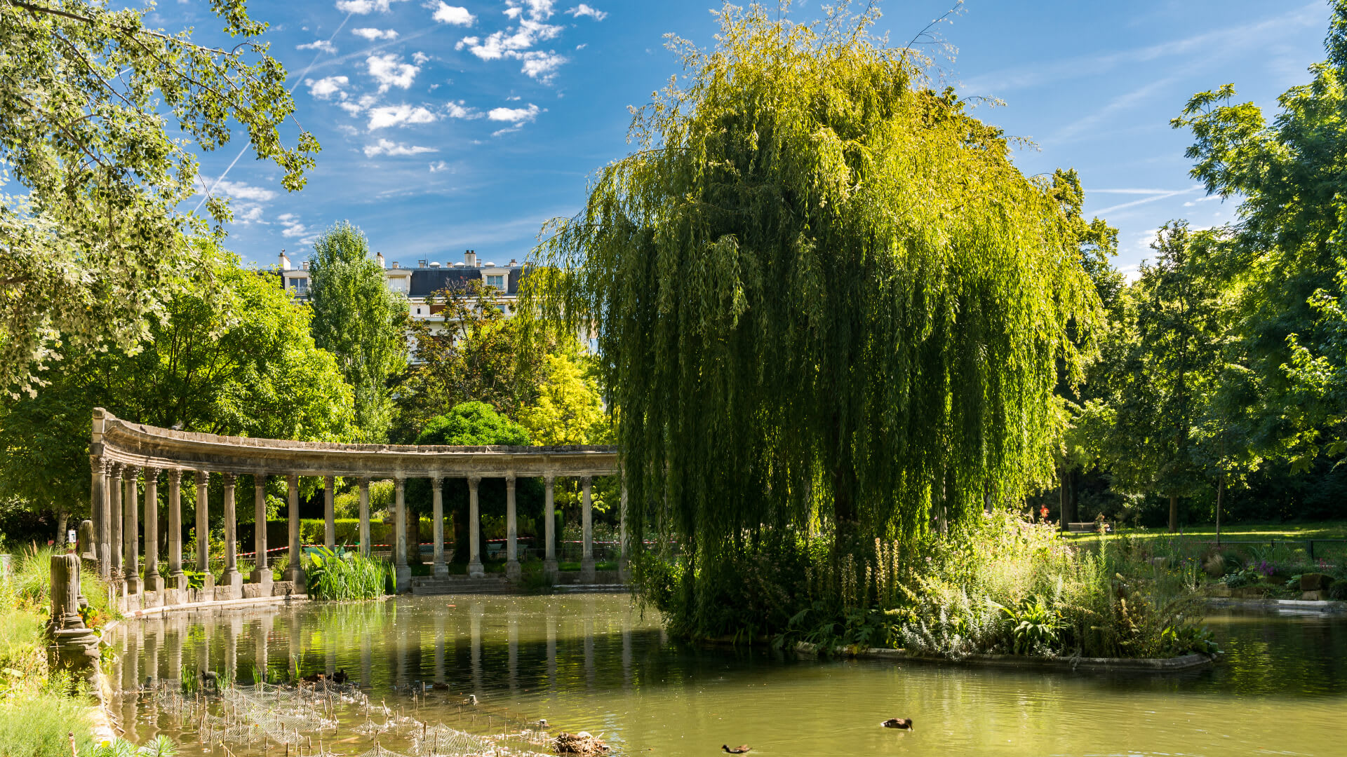 Image of Tree, Nature, Outdoors, Pond, Water, Scenery, Vegetation, Grass, Park, 