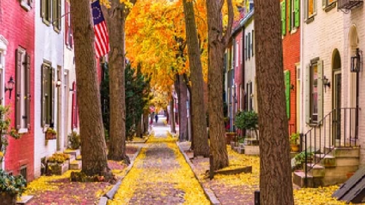 Image of Neighborhood, Autumn, City, Suburb, 